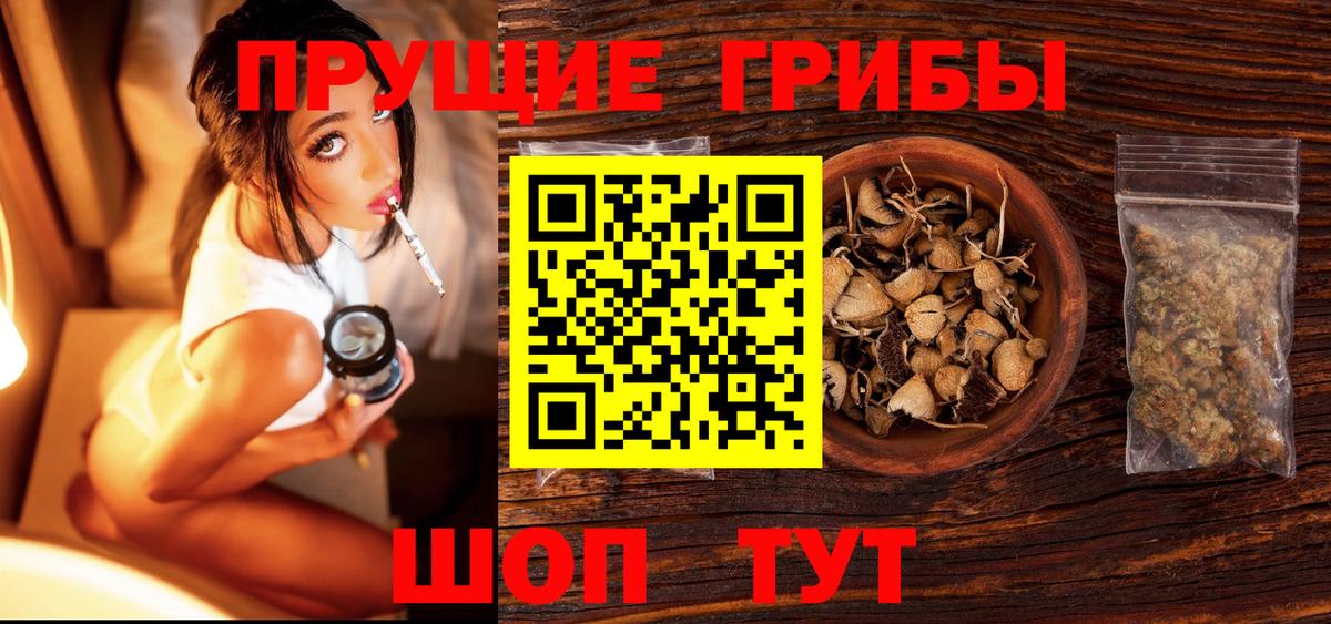 Хабаровск  Псилоцибиновые грибы мицелий  Вход с VPN 
